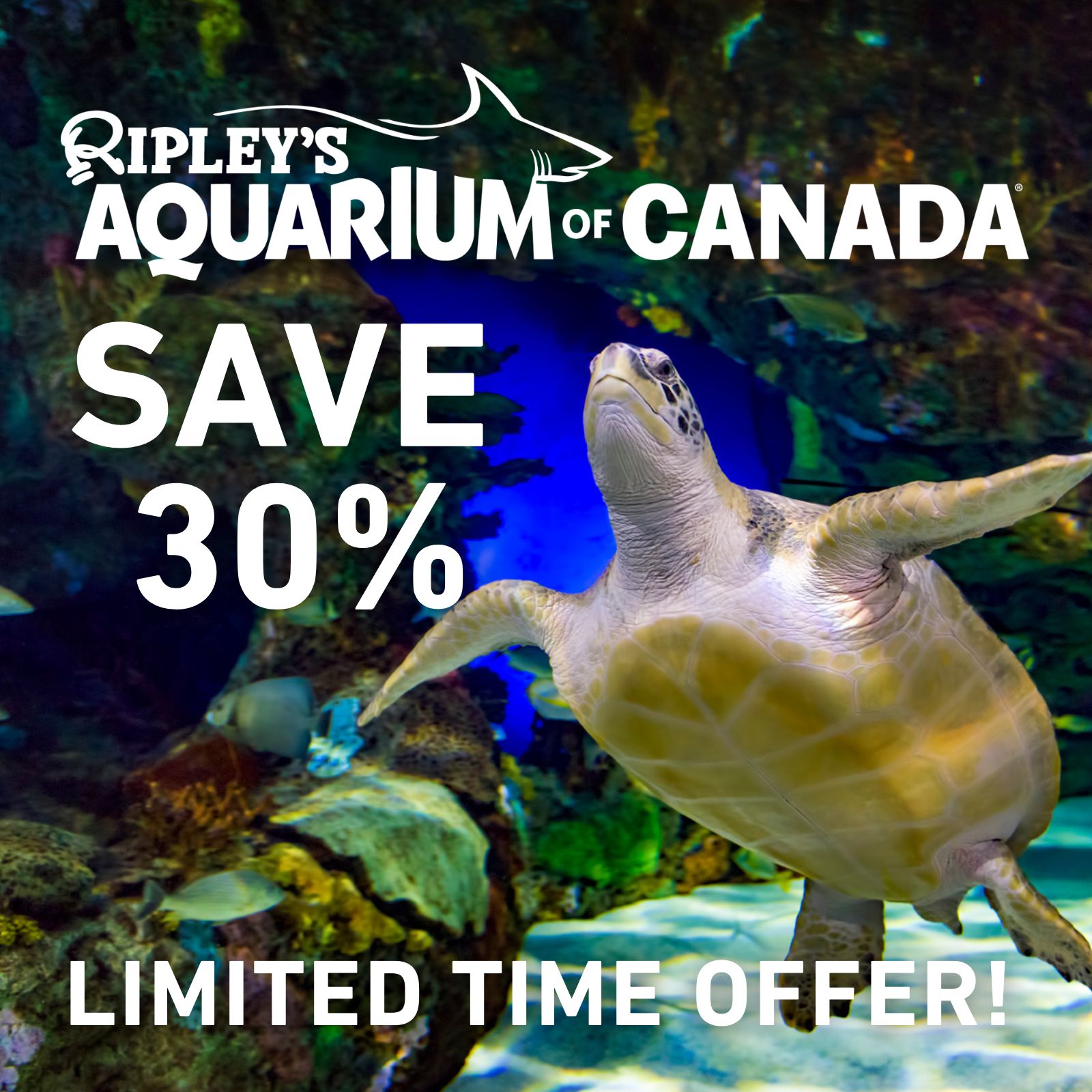 Ripley’s Aquarium Toronto
