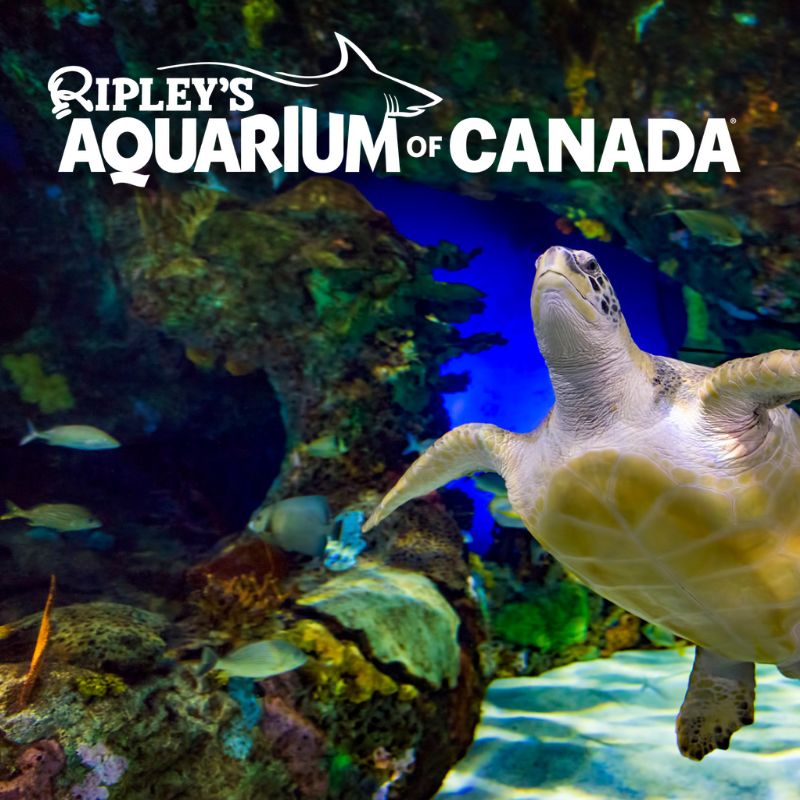 Ripley’s Aquarium Toronto