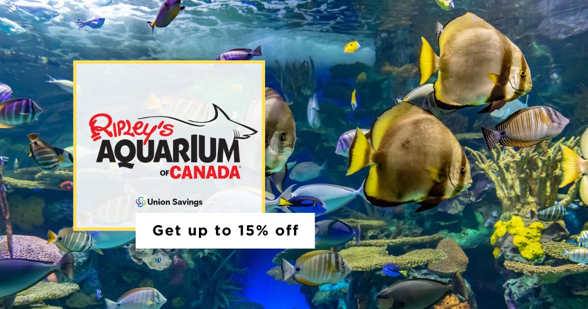 Ripley’s Aquarium Toronto