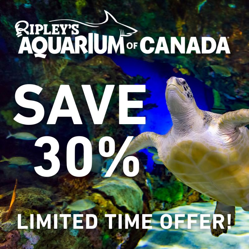 Ripley’s Aquarium Toronto