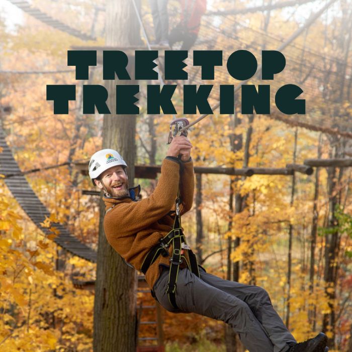 Treetop Trekking